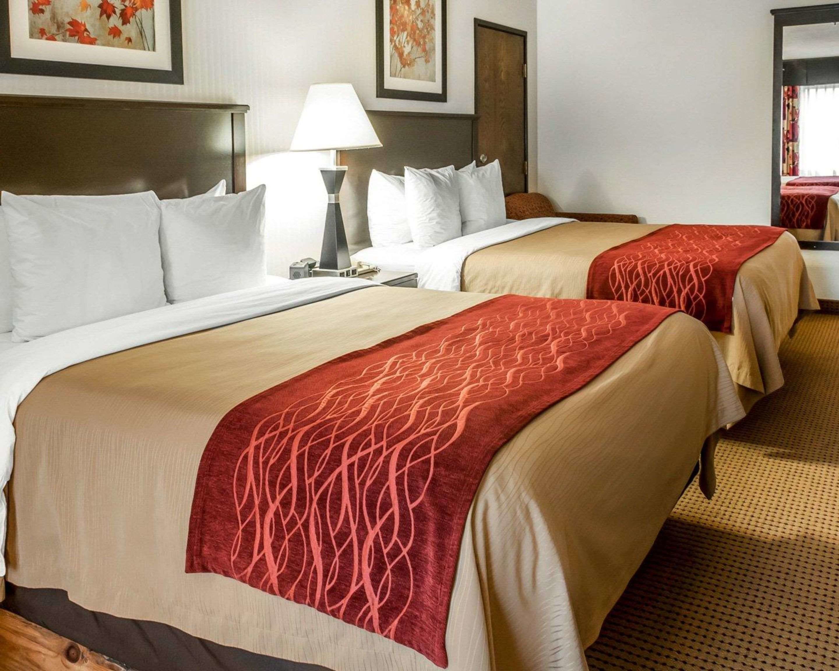 suite, 2 queen beds, non smoking | desk, iron/ironing board, free cots/infant beds, rollaway beds