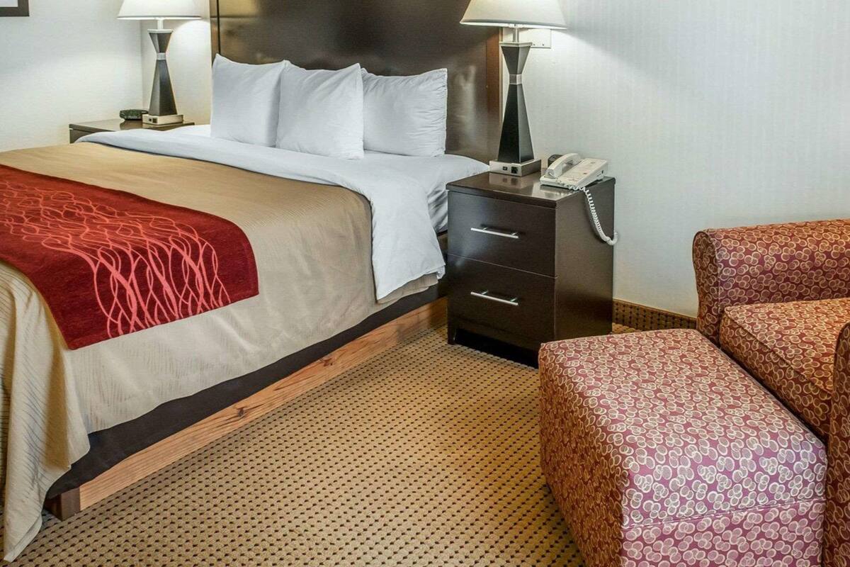 Une chambre d’hôtel avec un lit, deux lampes de chevet, un téléphone, une table de chevet, un fauteuil à motifs et un sol recouvert d’une moquette.