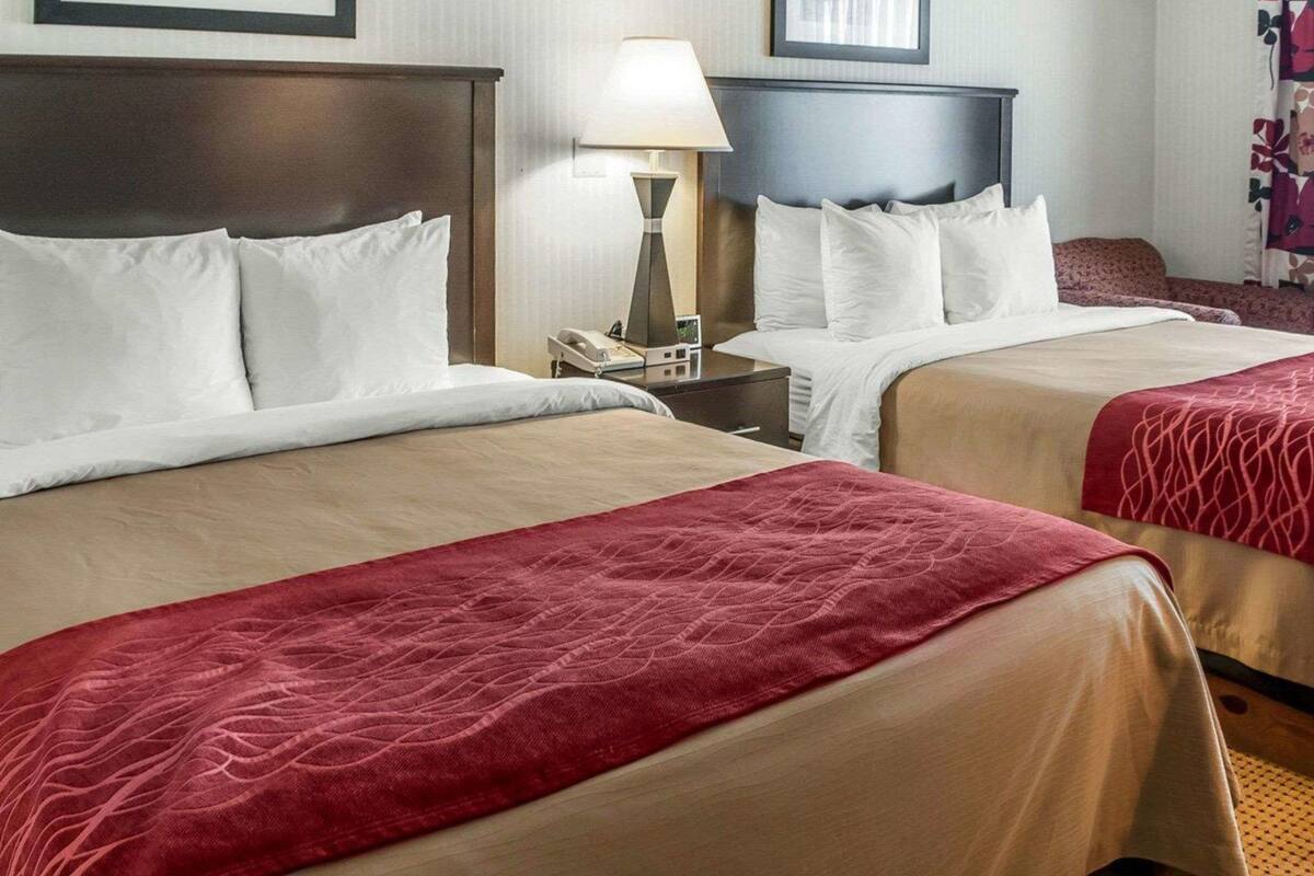 standard room, 2 queen beds, non smoking | desk, iron/ironing board, free cots/infant beds, rollaway beds