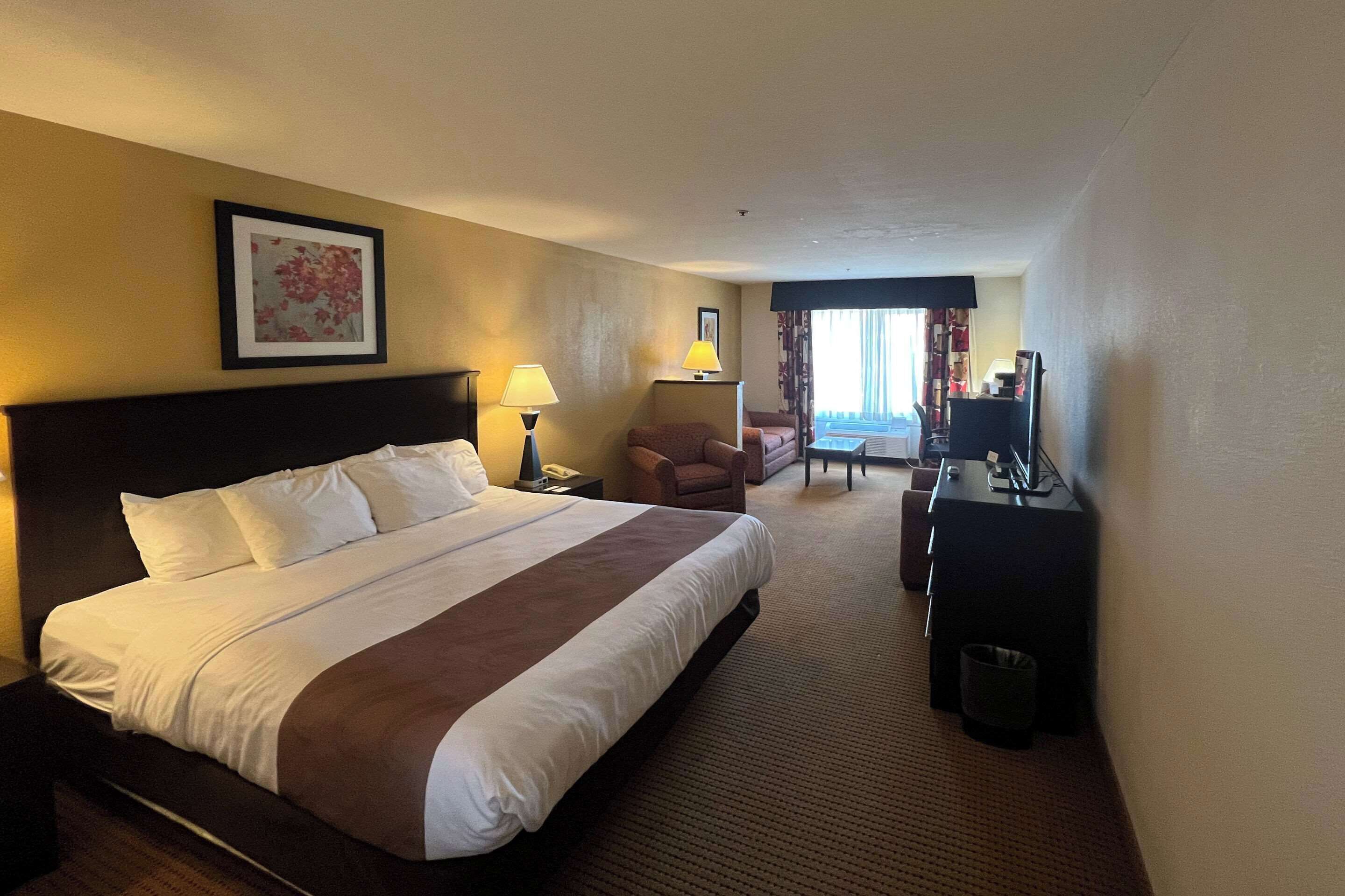 Suite, 1 Tempat Tidur King, Bebas Asap Rokok | Meja kerja, setrika/meja setrika, dan tempat tidur bayi gratis