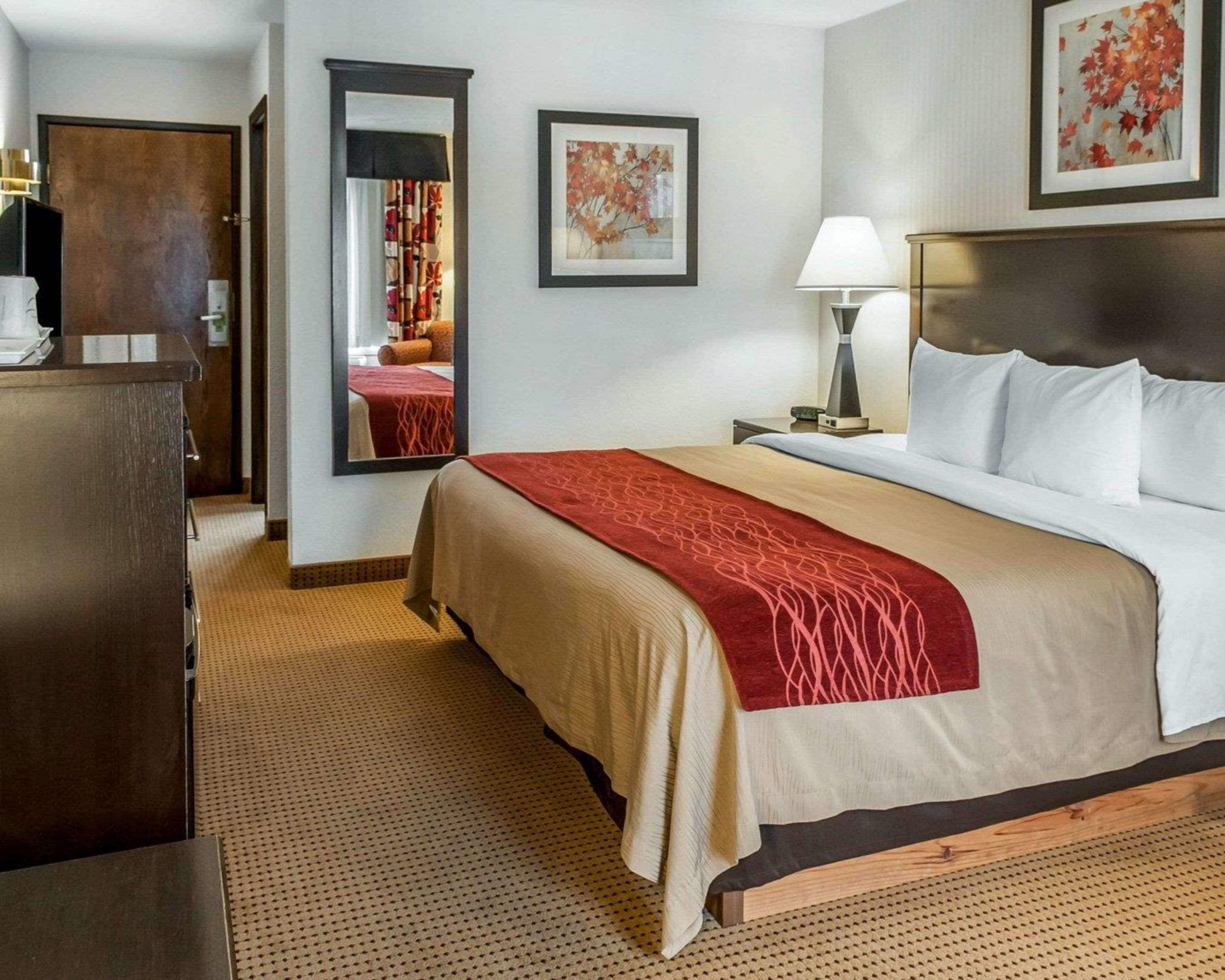 A hotel room with a bed, a desk, a mirror, and a nightstand with a lamp.