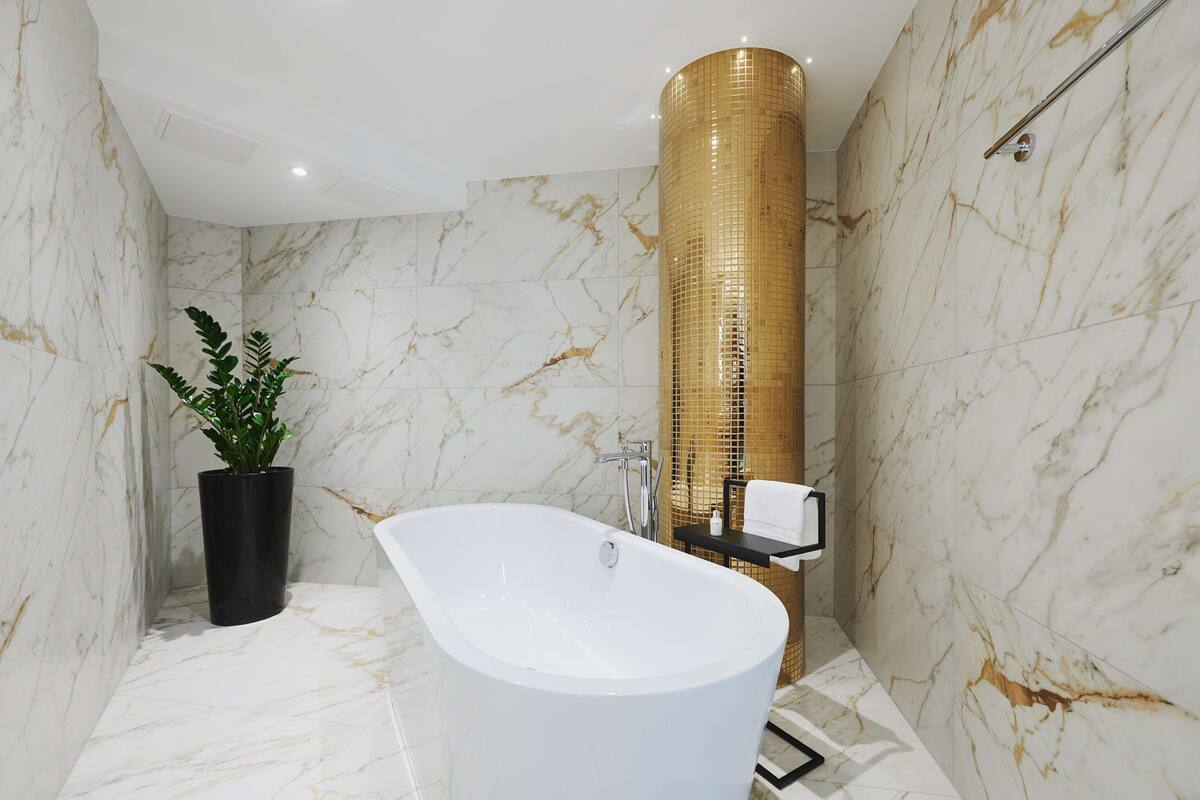 hair dryer, towels, soap, shampoo