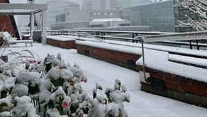 A snowy urban scene with modern buildings, a covered outdoor area, and snow-covered plants.