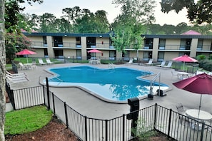 Outdoor pool, pool loungers