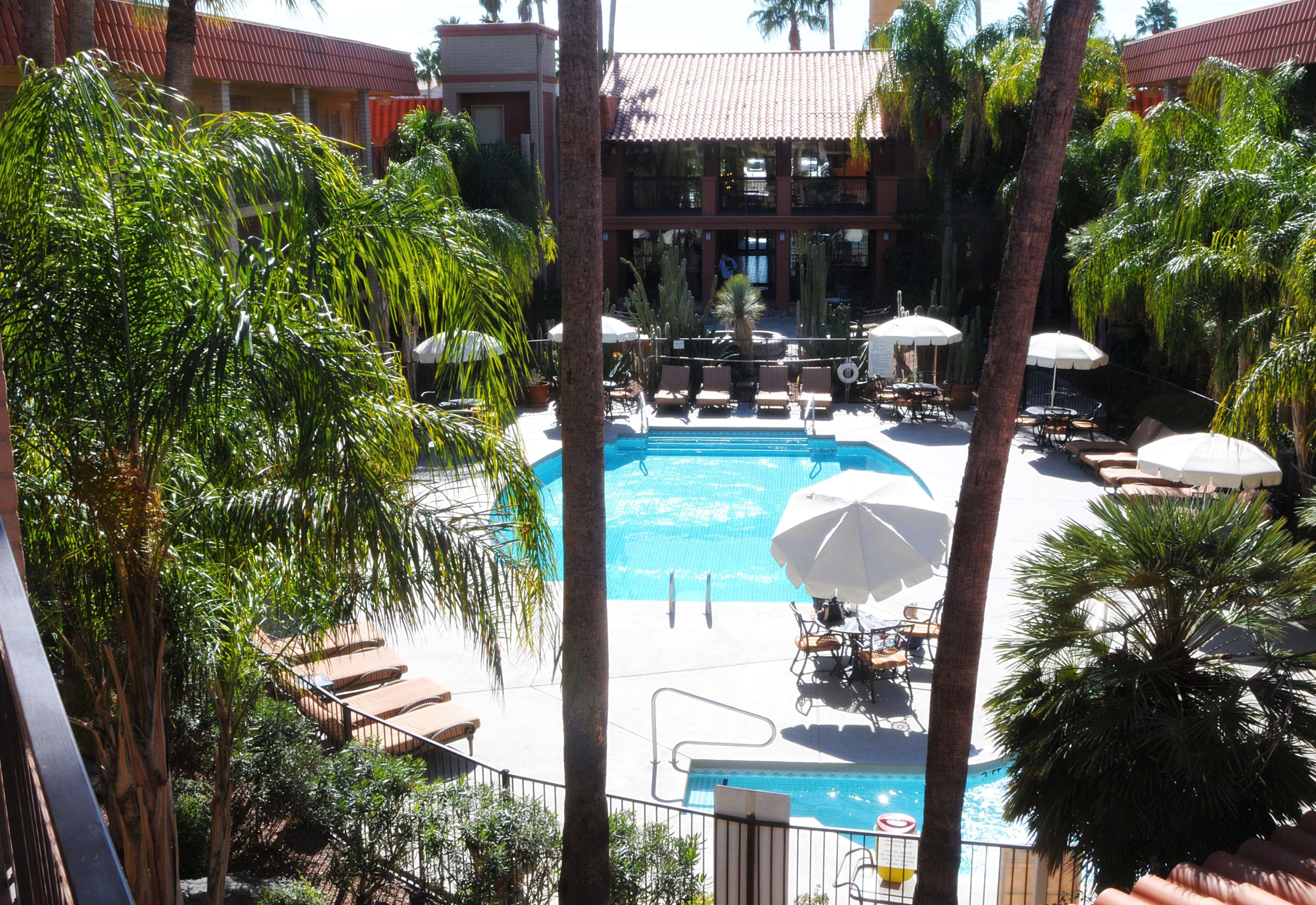 A pool area with lounge chairs and umbrellas, surrounded by palm trees.