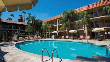 Outdoor pool, sun loungers
