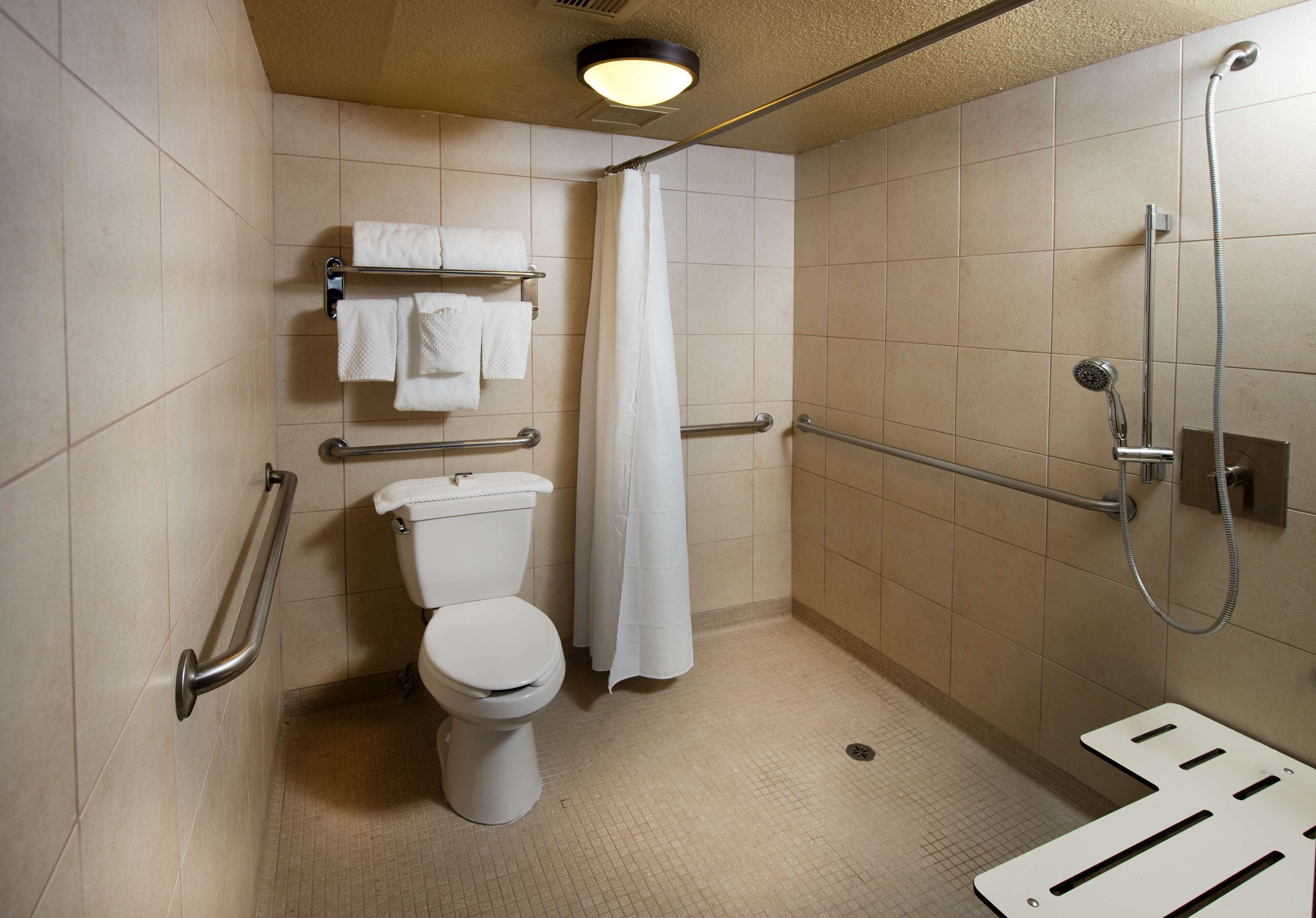 suite, 1 king bed with sofa bed, accessible | bathroom shower