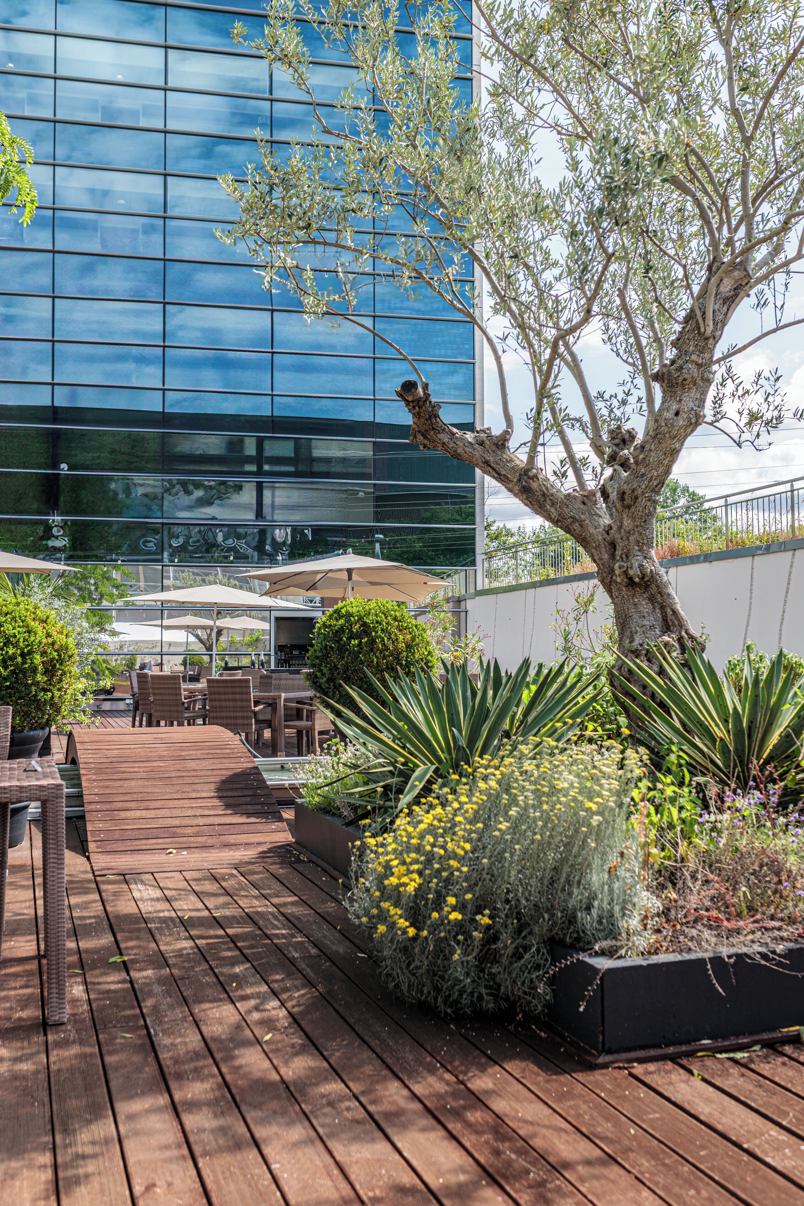A wooden deck with outdoor seating, a tree, and a modern building with reflective glass windows.