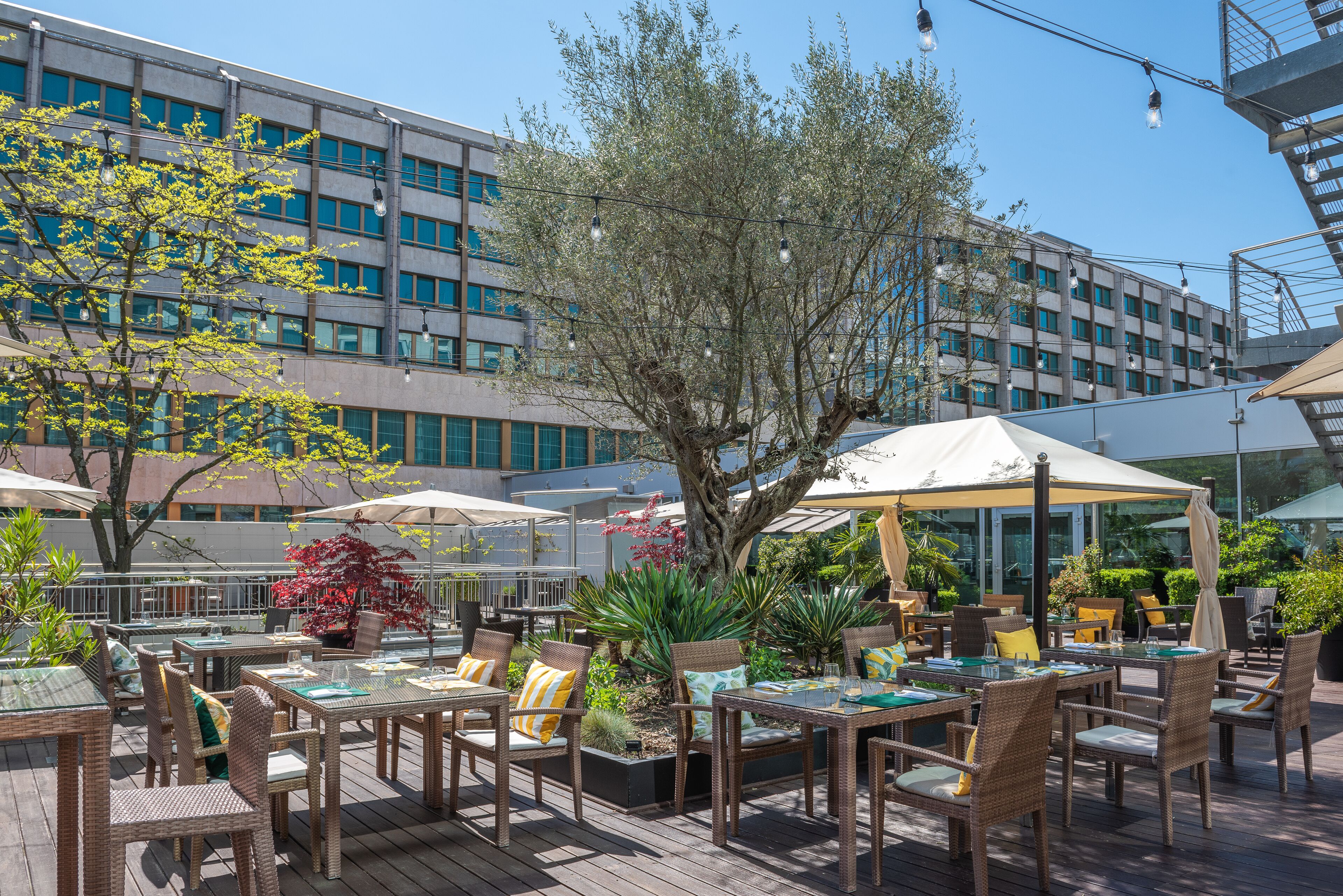 Foto - Hilton Geneva Hotel and Conference Centre