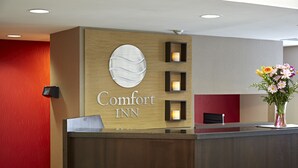 A hotel reception desk with a 'Comfort Inn' sign, a vase with flowers, and a red accent wall.