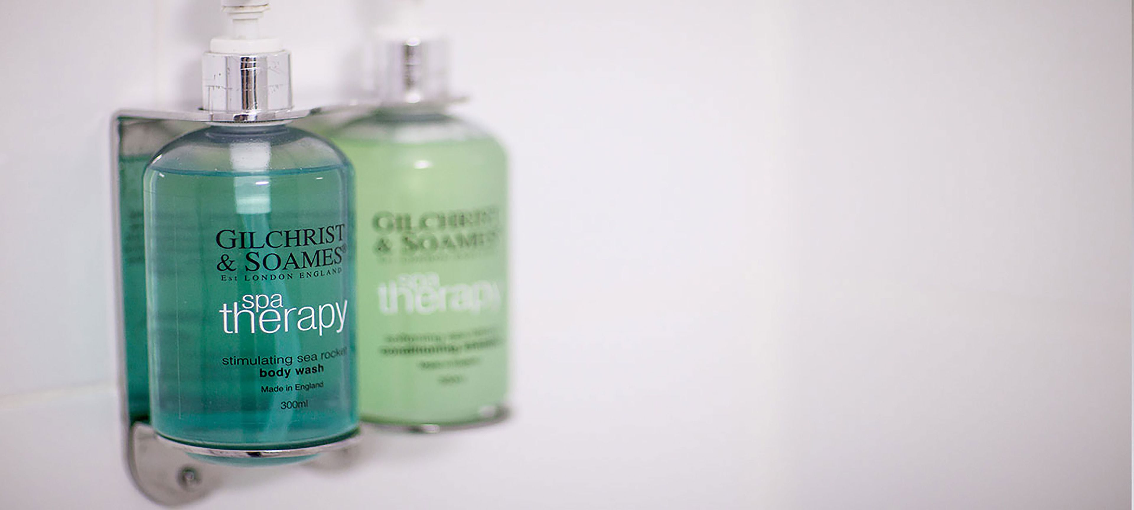 combined shower/bathtub, free toiletries, hair dryer, towels