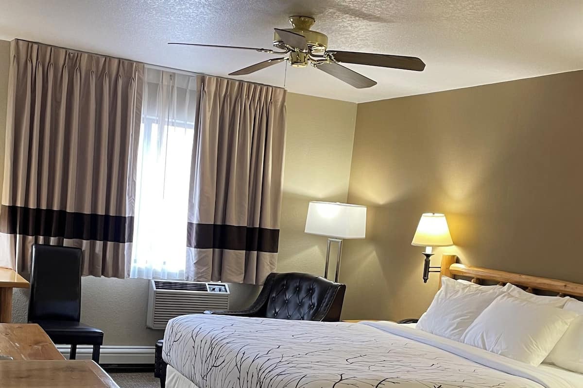 A hotel room with a bed, a desk, a chair, a ceiling fan, and a lamp.