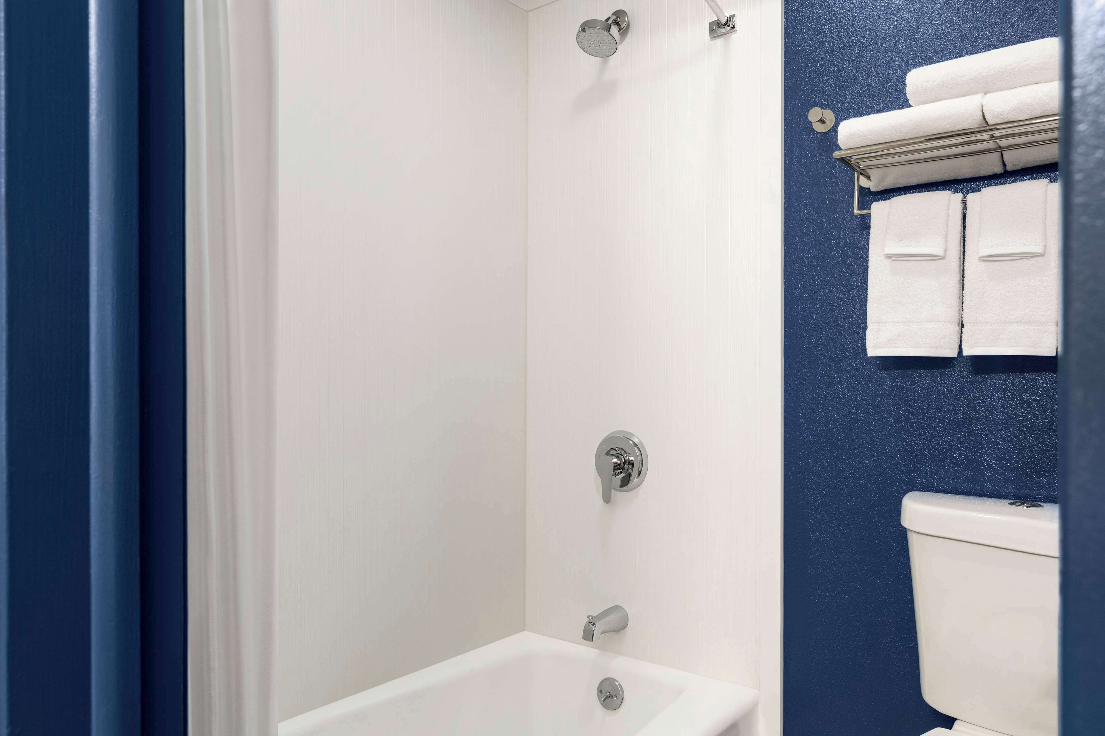 A bathroom with a bathtub, a shower, and a toilet.