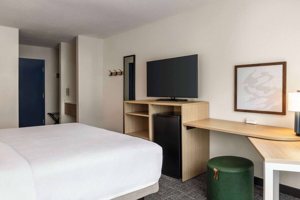 A hotel room with a bed, a desk with a flat-screen TV, a mirror, and a framed picture on the wall.