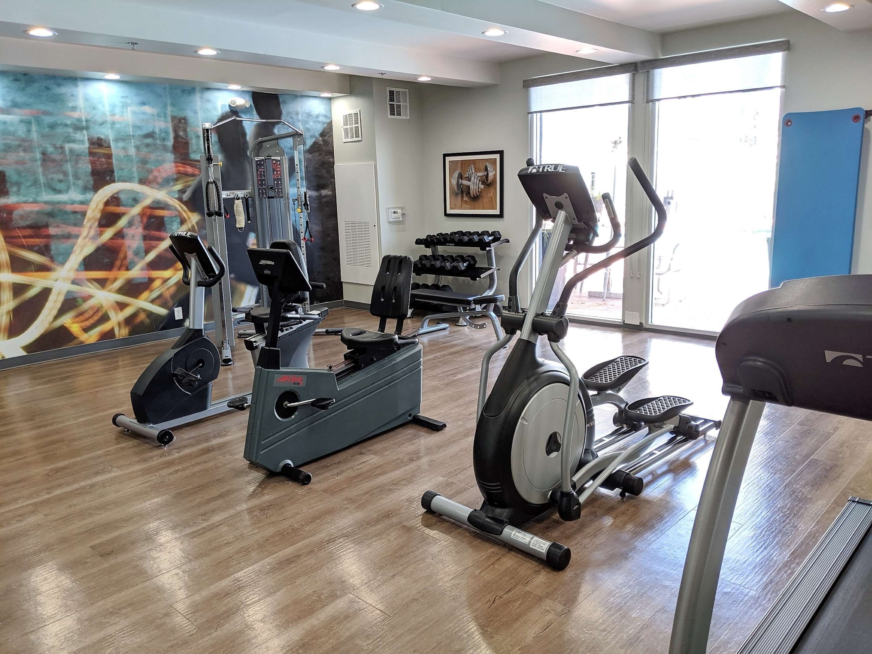 Une salle de sport équipée de machines de cardio, d’haltères et d’un grand miroir.
