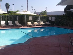 A swimming pool with lounge chairs and umbrellas, surrounded by a fence and palm trees. - Best Western Plus Commerce Hotel (Los Angeles)