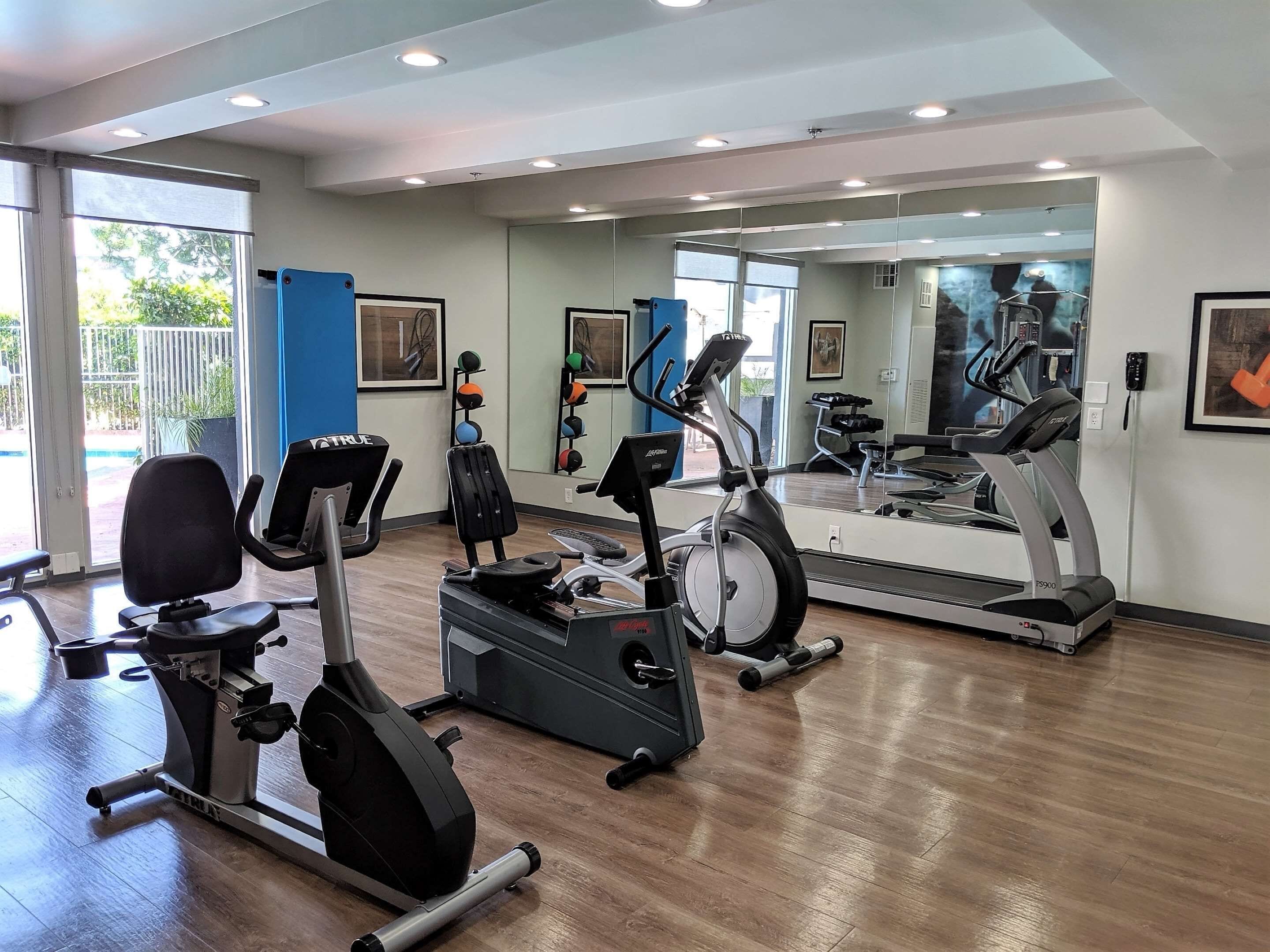 A gym with cardio machines, mirrors, and a view of the outdoors.