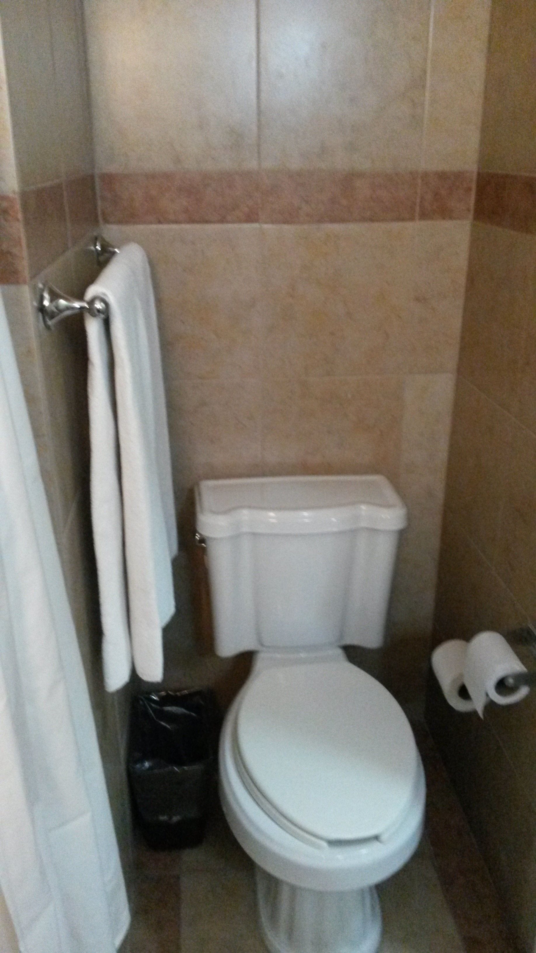 A small bathroom with a toilet, a towel rack, and a trash bin.