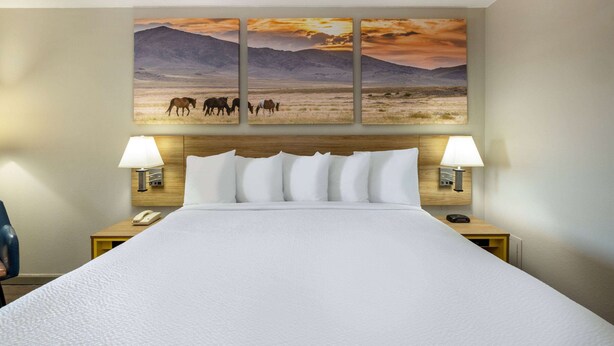 A hotel room with a large bed, two bedside lamps, a wooden headboard, and a wall-mounted painting of horses grazing. - Days Inn by Wyndham Roswell (Roswell)