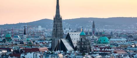 A cityscape with a prominent cathedral, a variety of buildings, and a distant mountain range.
