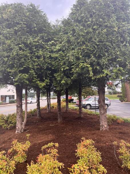 Quality Inn Asheville Airport - Image 8