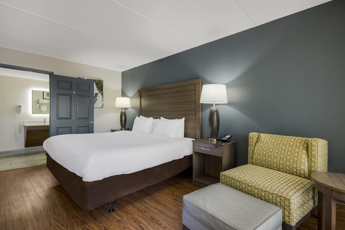 Chambre Standard, 1 très grand lit, non-fumeur | Bureau, accès au Wi-Fi (inclus), décor unique, ameublement unique