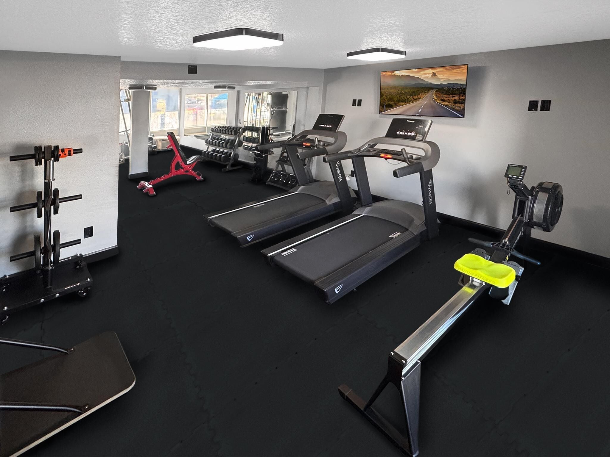 A gym with treadmills, a bench press, and a dumbbell rack.