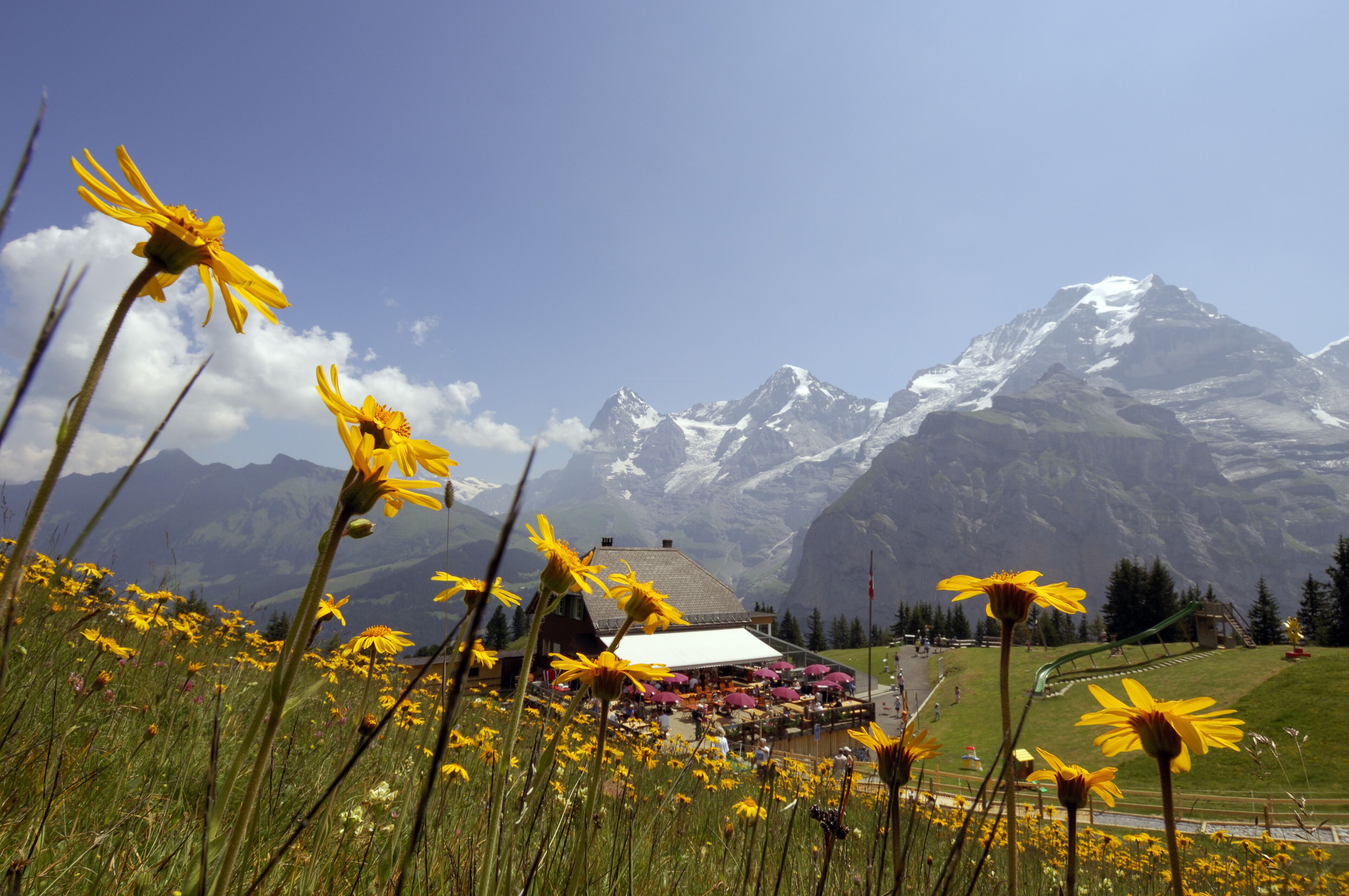 Photo - Eiger Mürren Swiss Quality Hotel