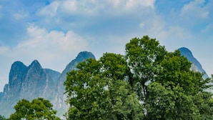 A pathway through lotus flower fields with mountains in the background. - Sheraton Guilin Hotel (Guilin)