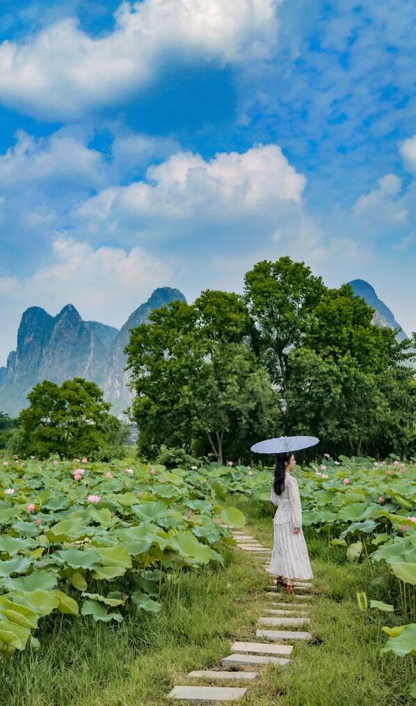 A pathway through lotus flower fields with mountains in the background. - Sheraton Guilin Hotel (Guilin)