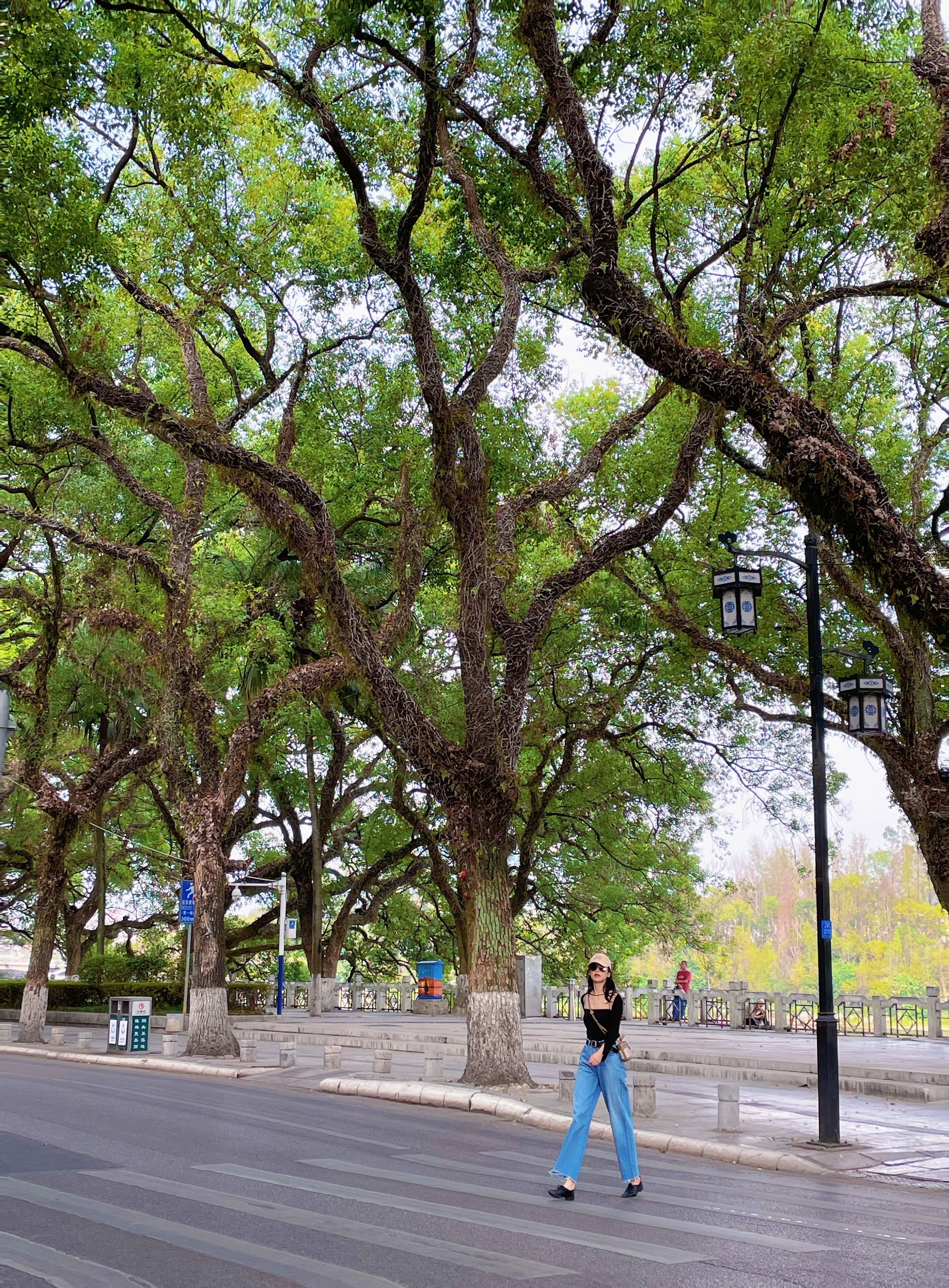 city view from property