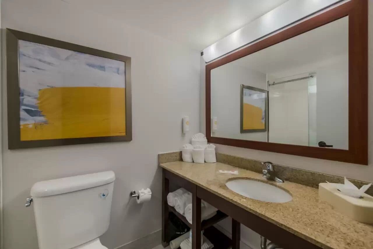 A bathroom with a toilet, sink, and large mirror.
