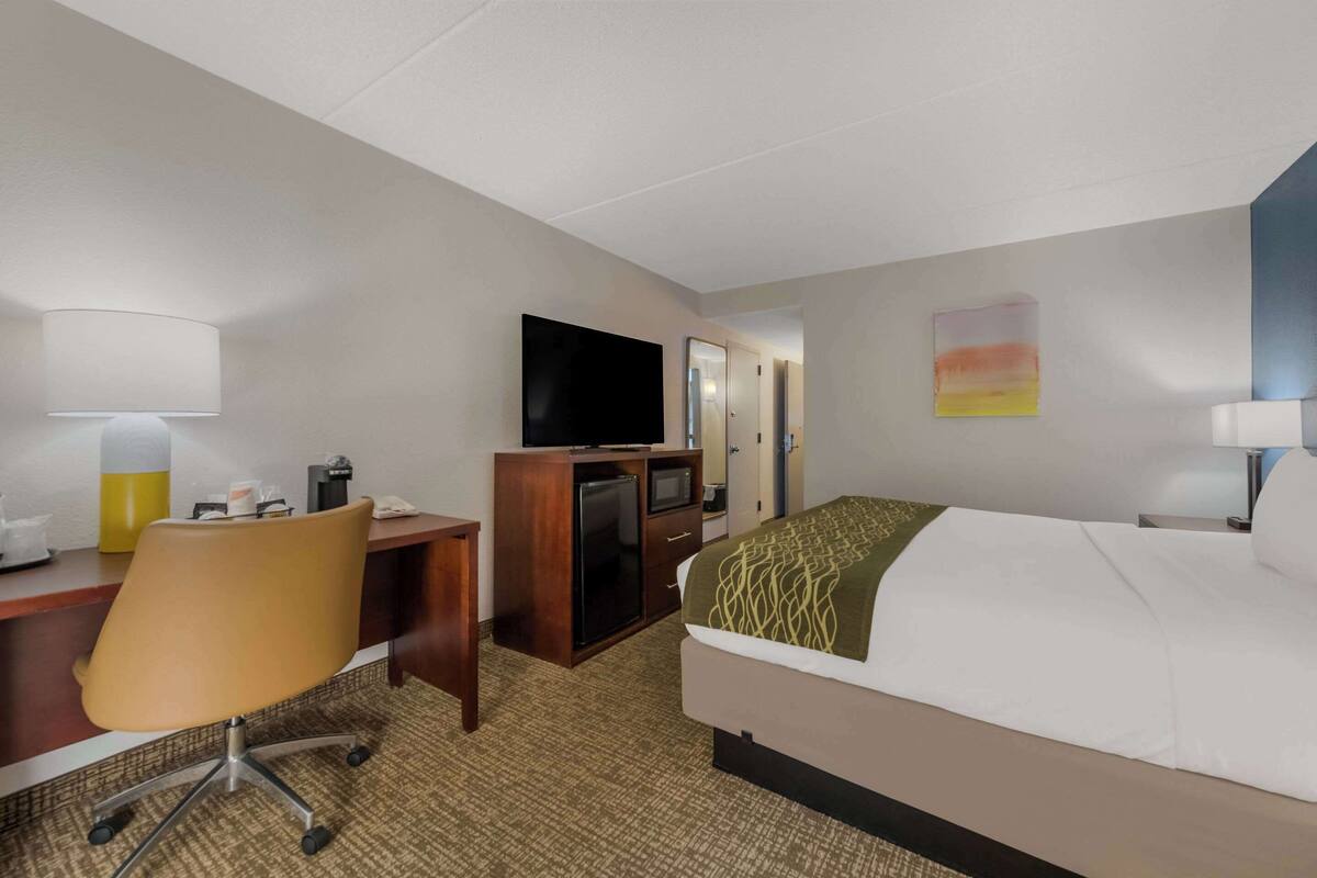 Une chambre d’hôtel comprenant un lit, un bureau avec une chaise, une télévision, un réfrigérateur et un petit placard.