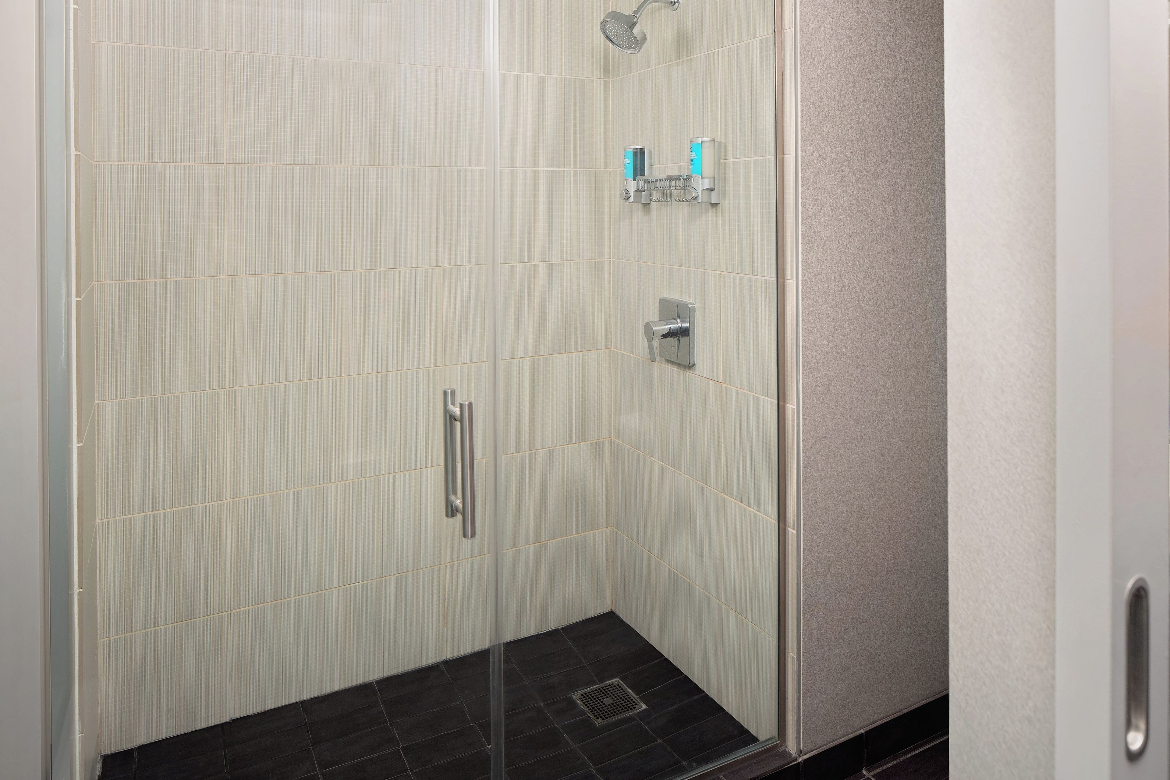 A walk-in shower with a glass door, a showerhead, and a handrail.