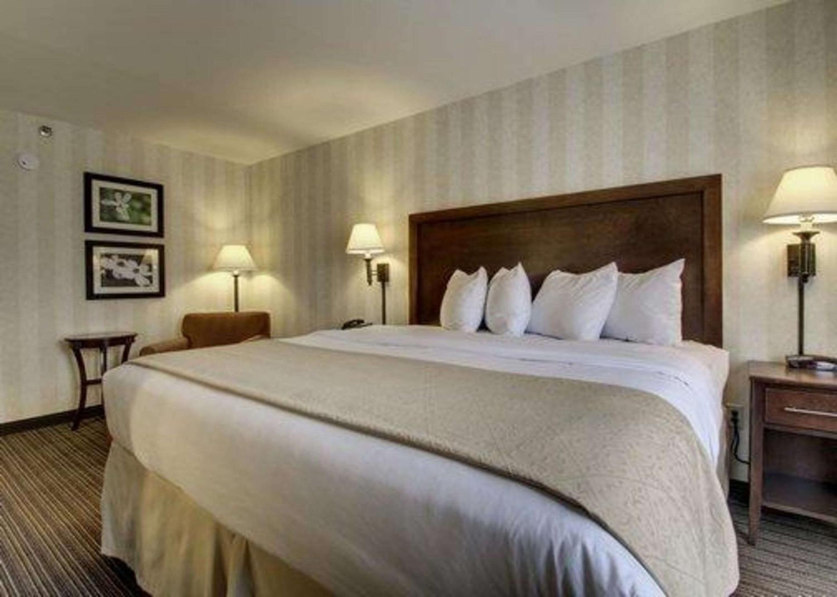 blackout curtains, iron/ironing board, free internet, bed sheets