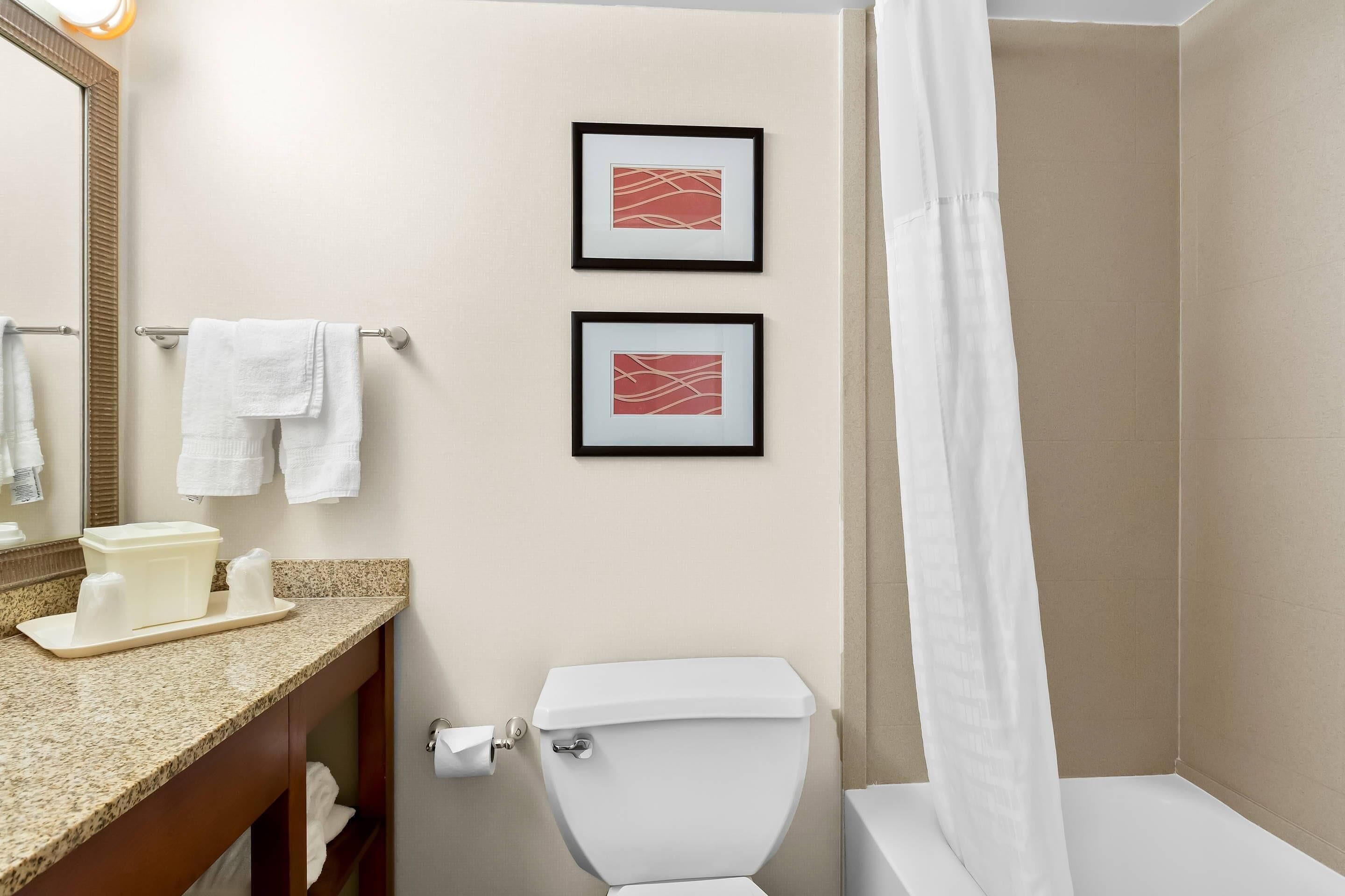 A bathroom with a toilet, sink, and framed artwork on the wall.
