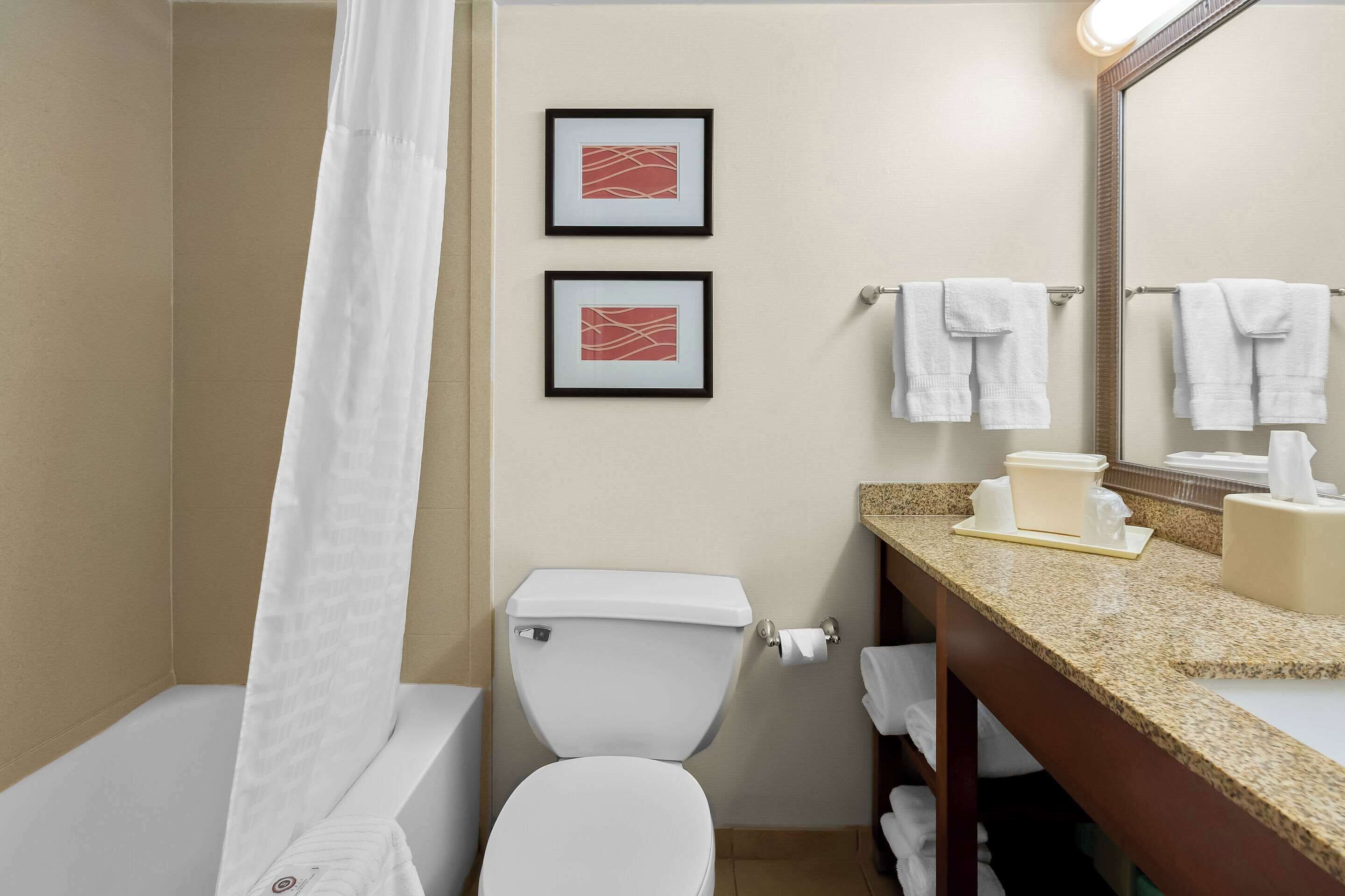 standard double room, 2 double beds, non smoking | desk, blackout curtains, iron/ironing board, free wifi