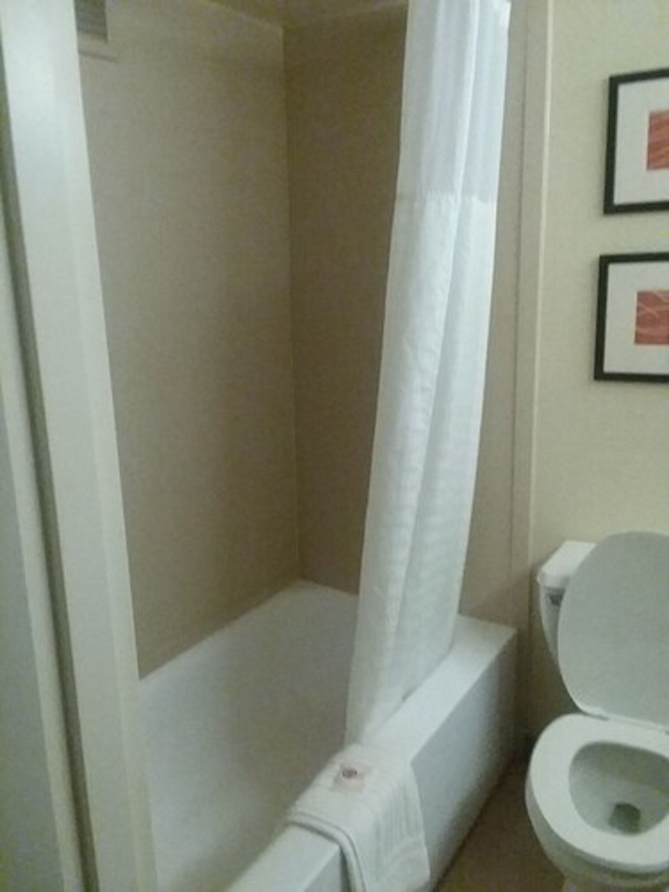 Un baño con ducha, inodoro y dos cuadros en la pared.