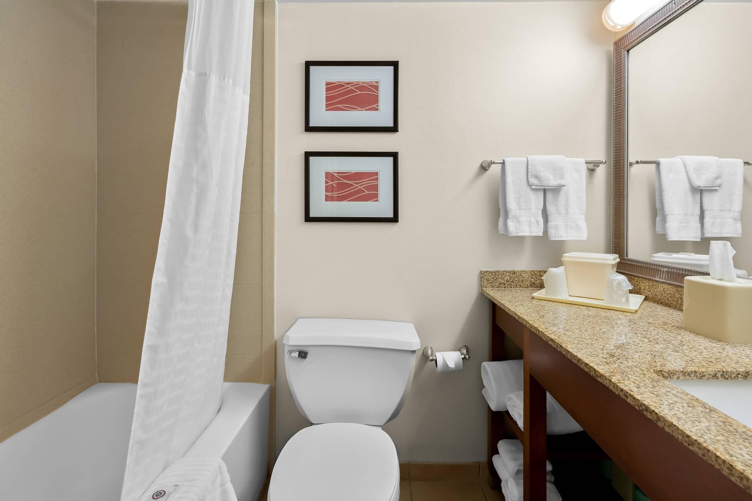 Standard Double Room, 2 Double Beds, Non Smoking | Desk, blackout drapes, iron/ironing board, free WiFi