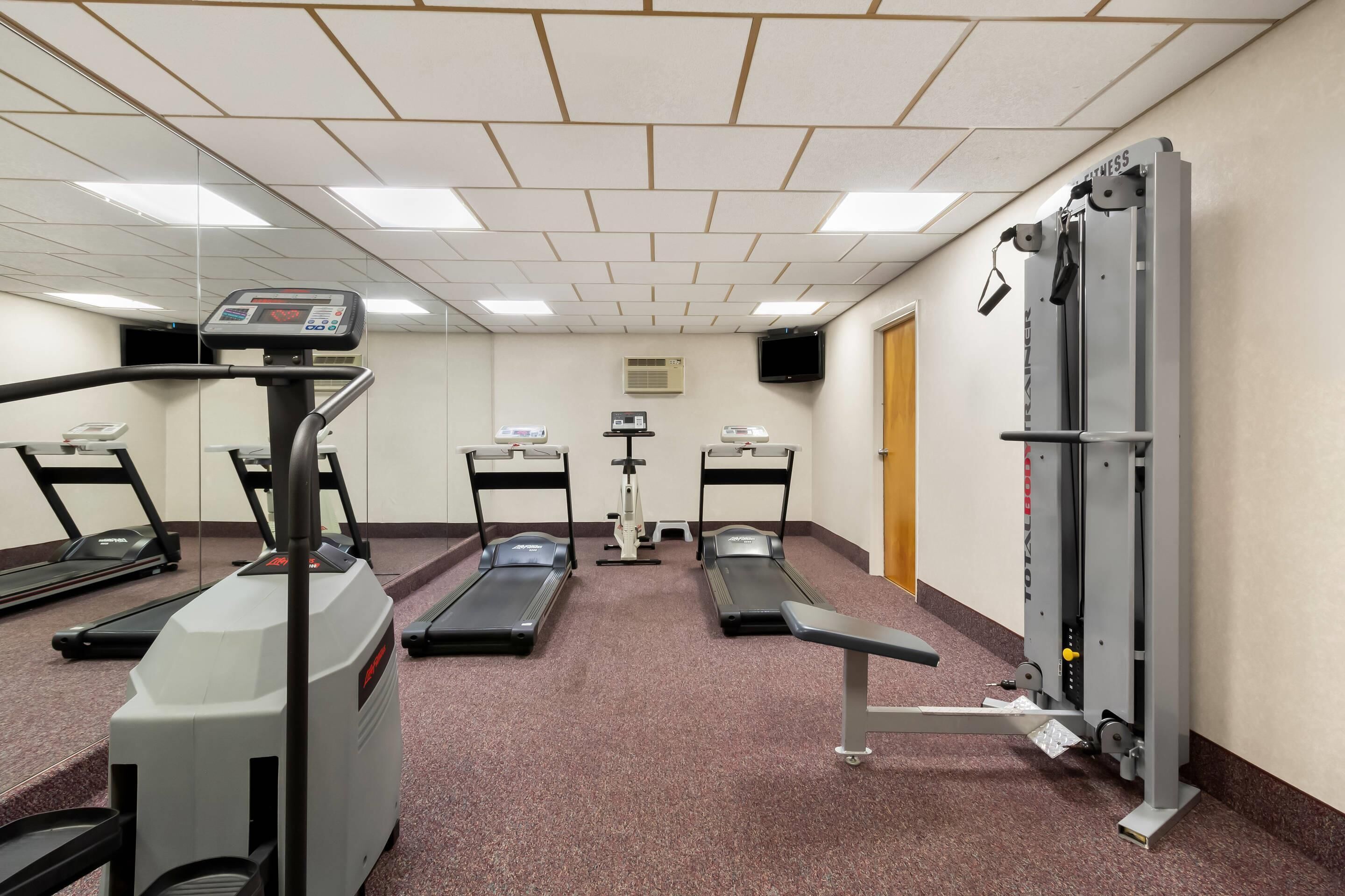 A gym with treadmills, elliptical machines, and weightlifting equipment.