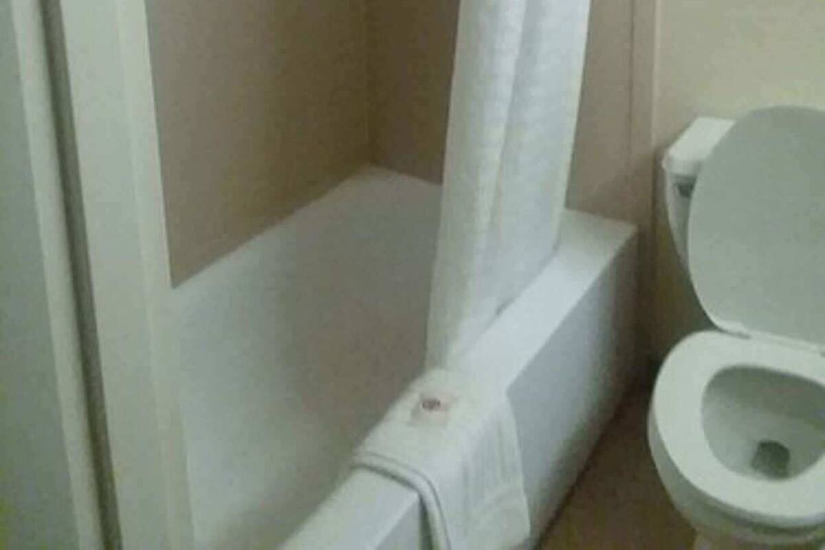 A bathroom with a shower, toilet, and two framed pictures on the wall.