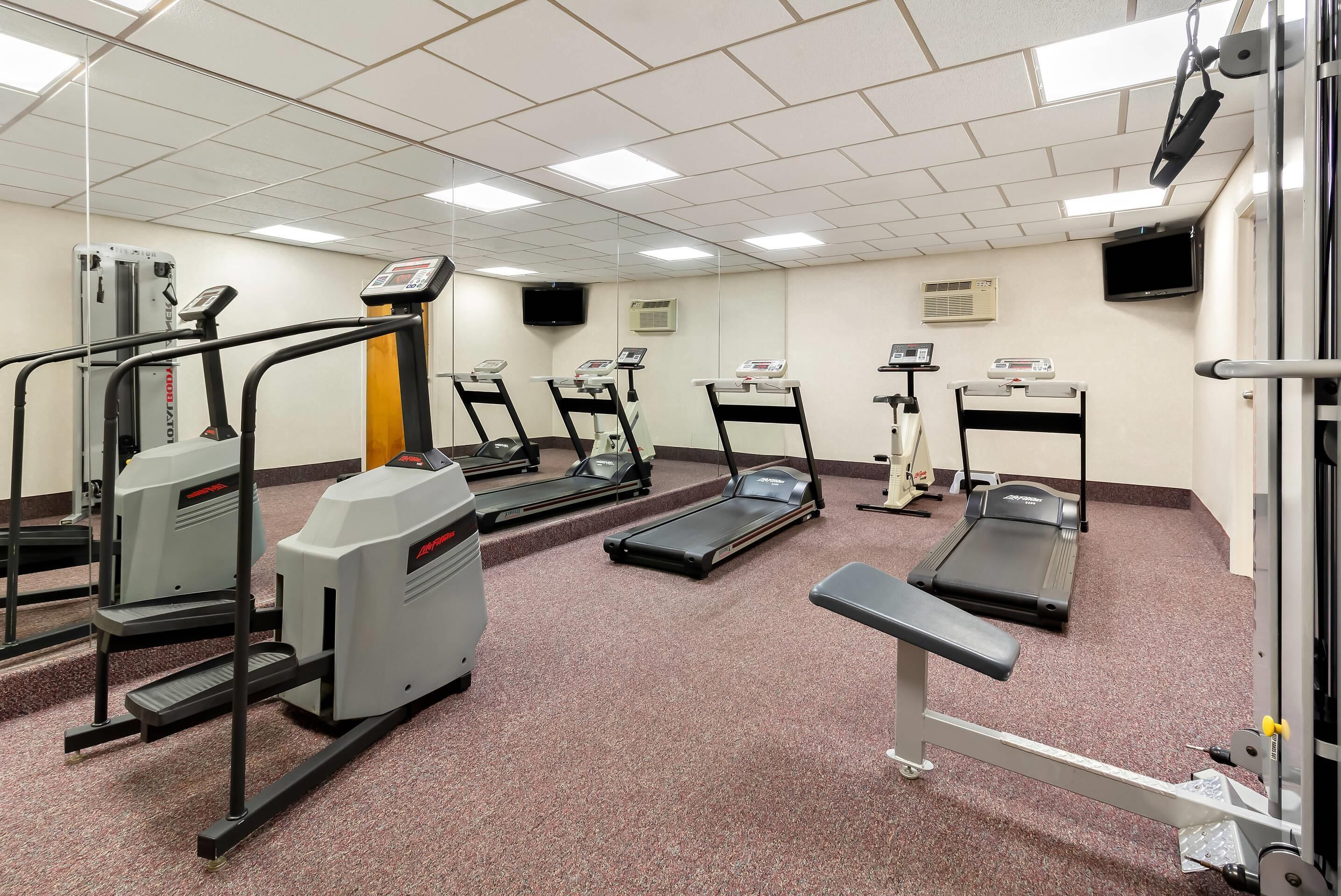 A gym with treadmills, ellipticals, and a weight bench.