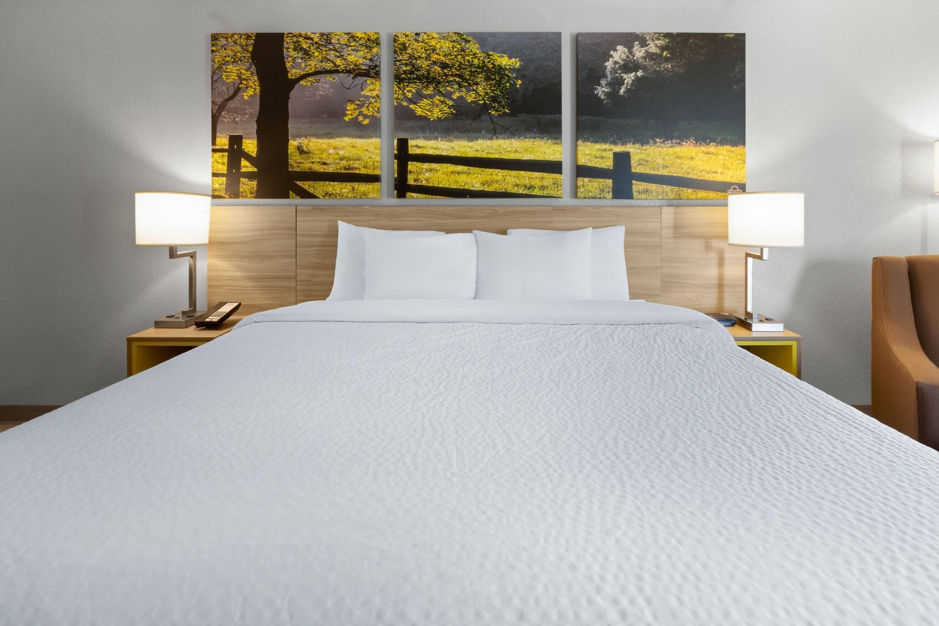 A neatly made bed with a white duvet, two bedside lamps, and a painting of a tree and fence on the wall.