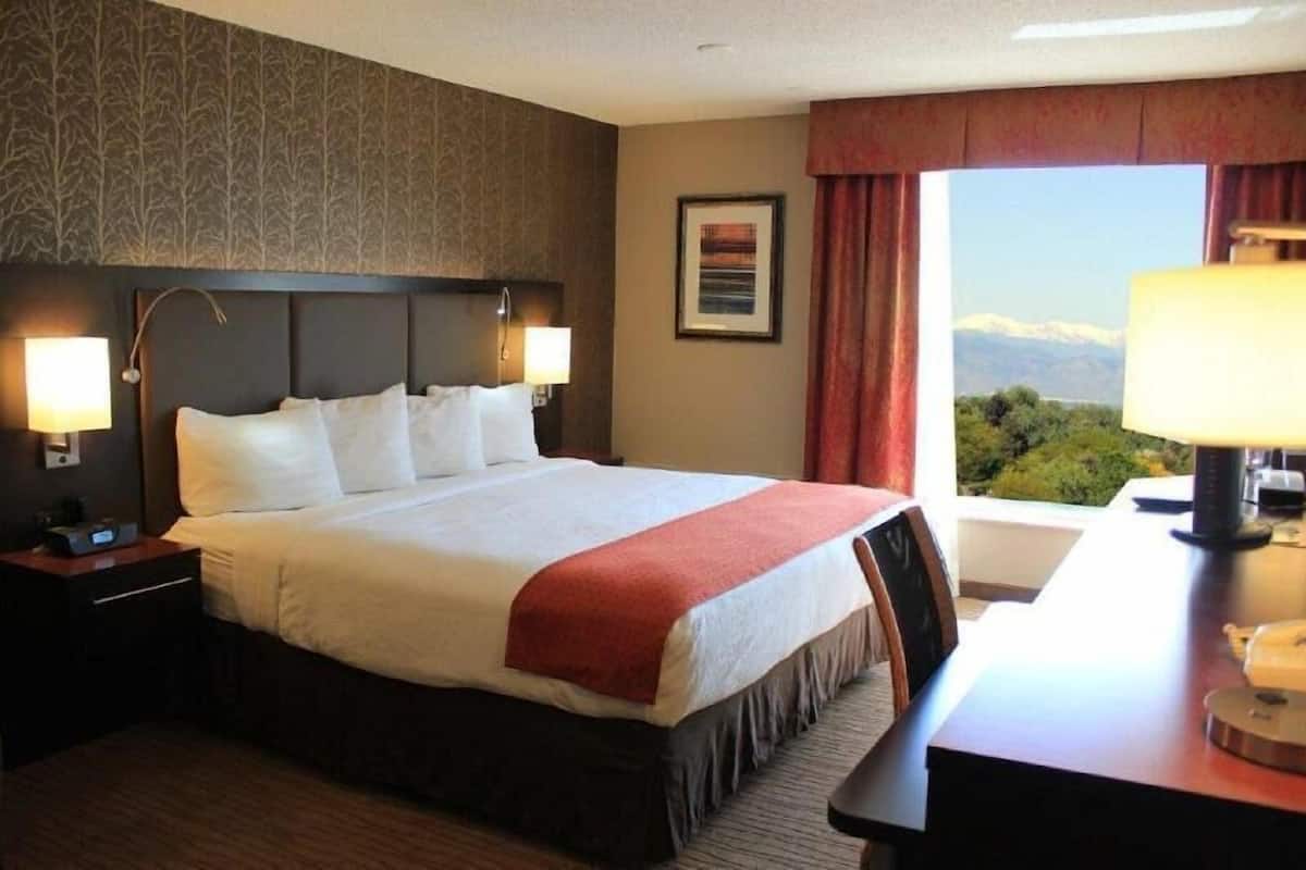 Premium bedding, down comforters, in-room safe, desk