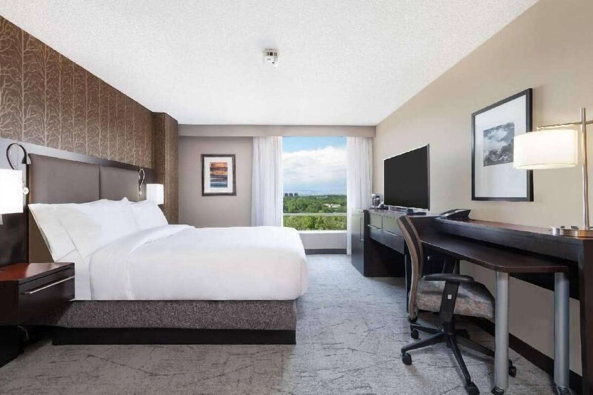 A hotel room with a bed, desk, chair, TV, and a view of greenery through the window.