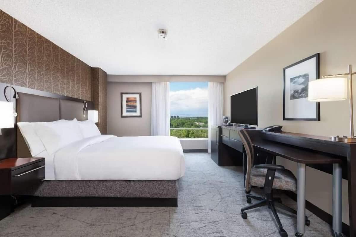 Premium bedding, down comforters, in-room safe, desk