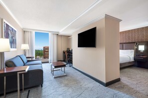 Studio, 1 King Bed, Accessible, Bathtub