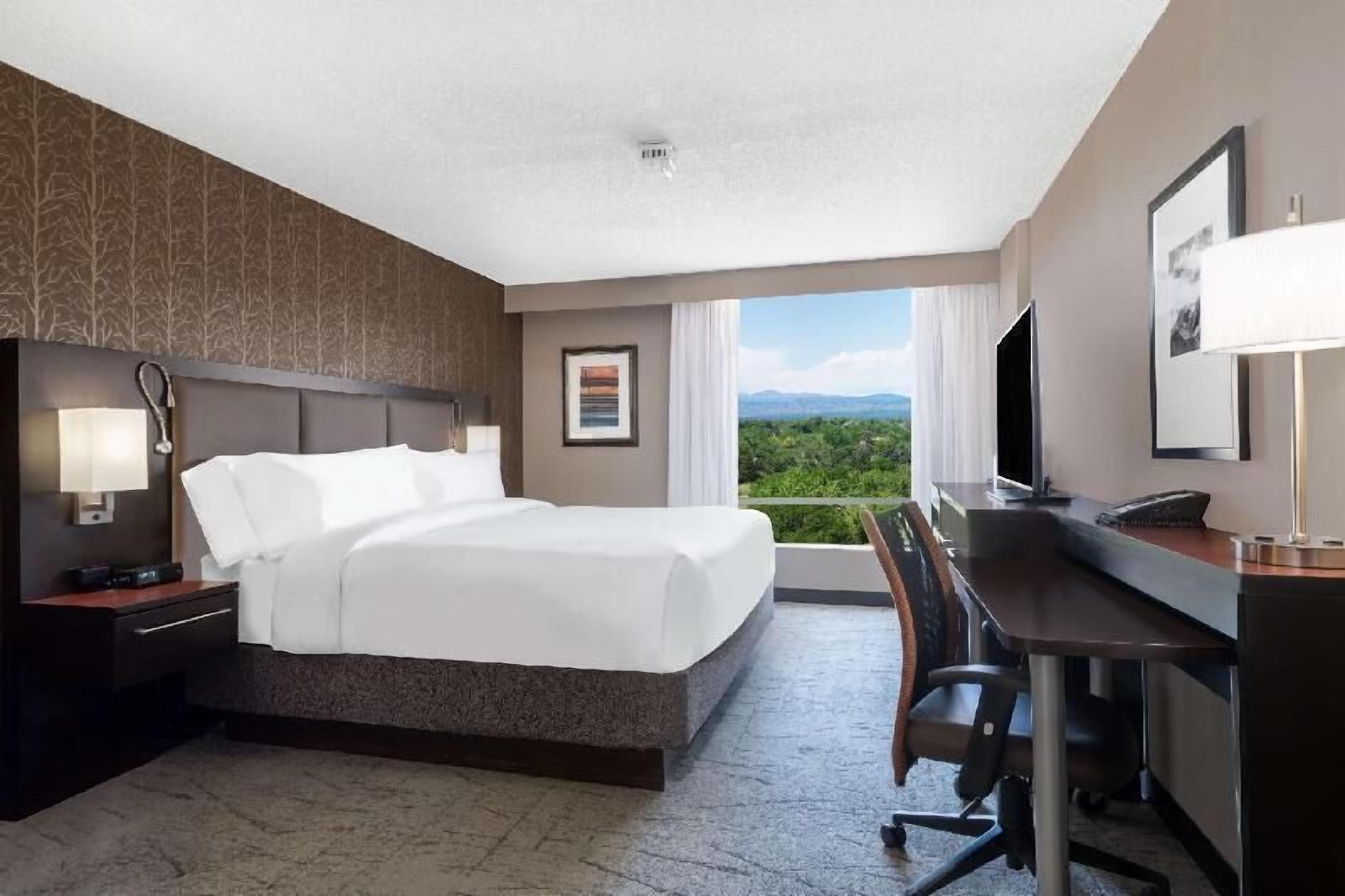 Premium bedding, down comforters, in-room safe, desk