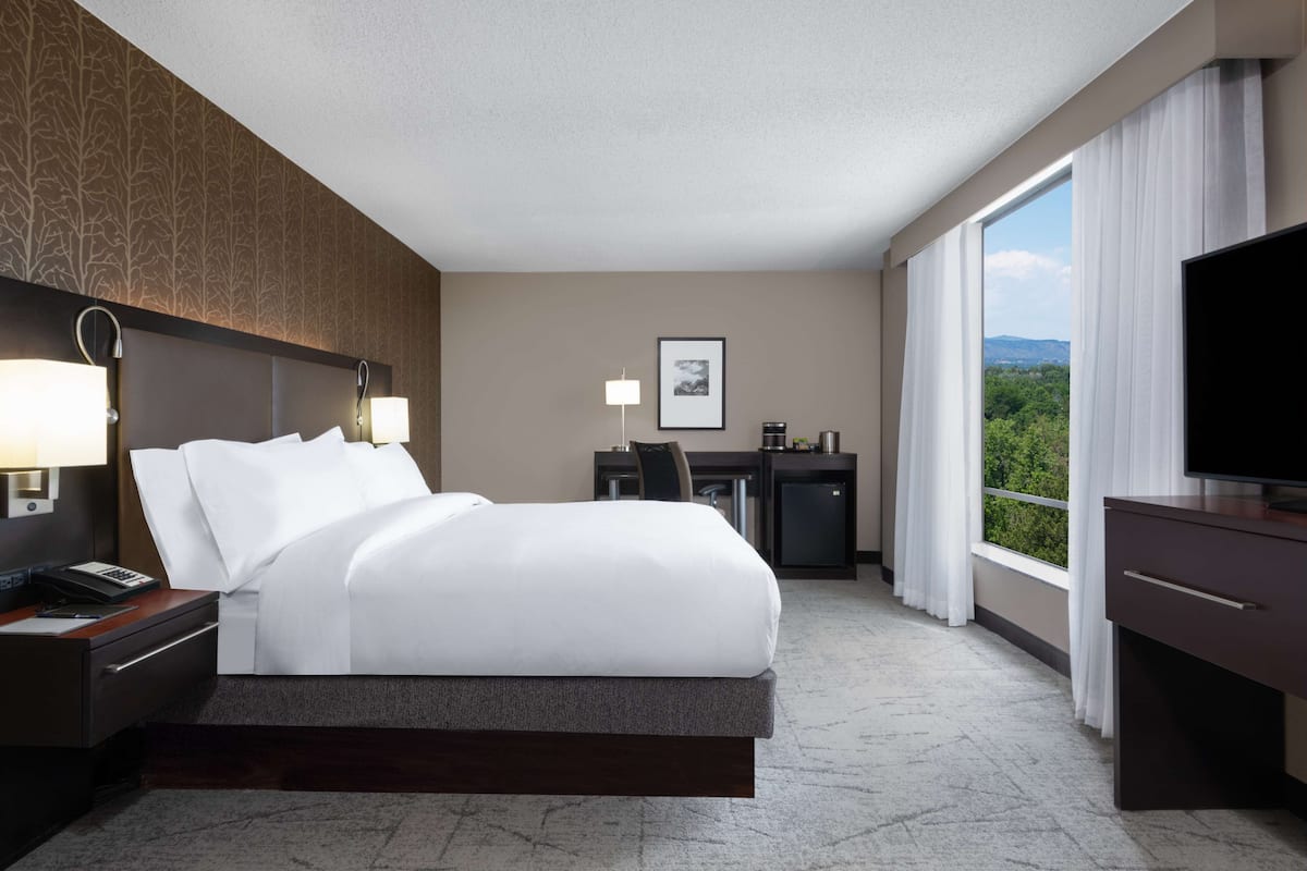 A hotel room with a bed, desk, TV, and a view of the outdoors.