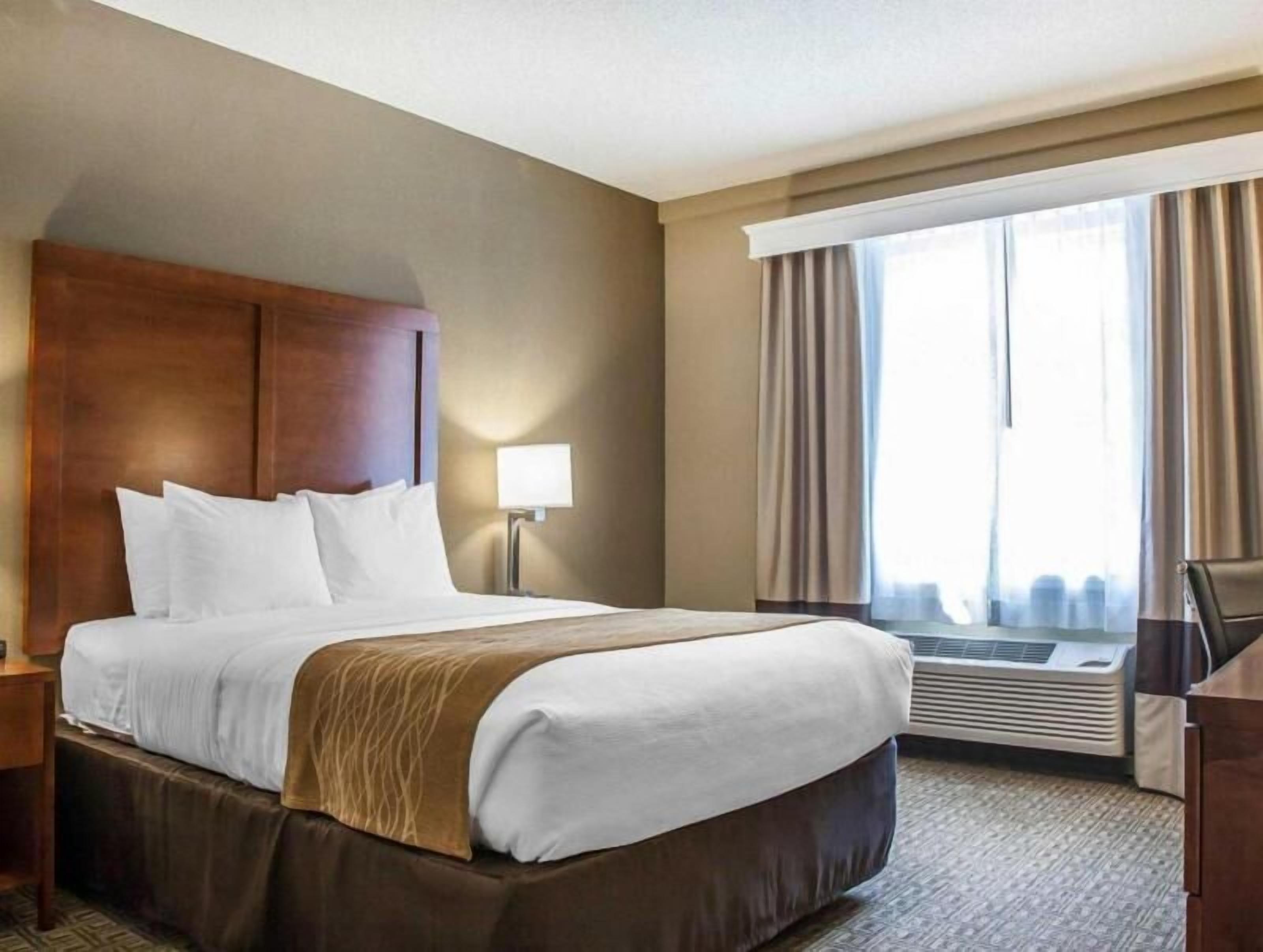 Premium bedding, in-room safe, desk, iron/ironing board